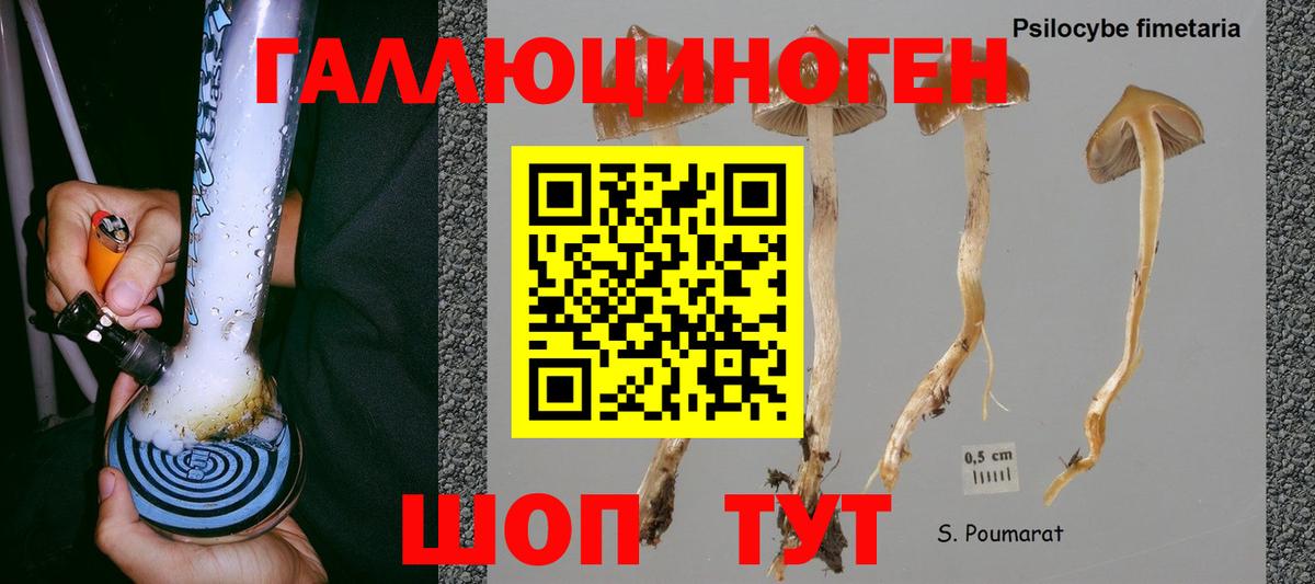 Псилоцибиновые грибы MAGIC MUSHROOMS Краснотурьинск